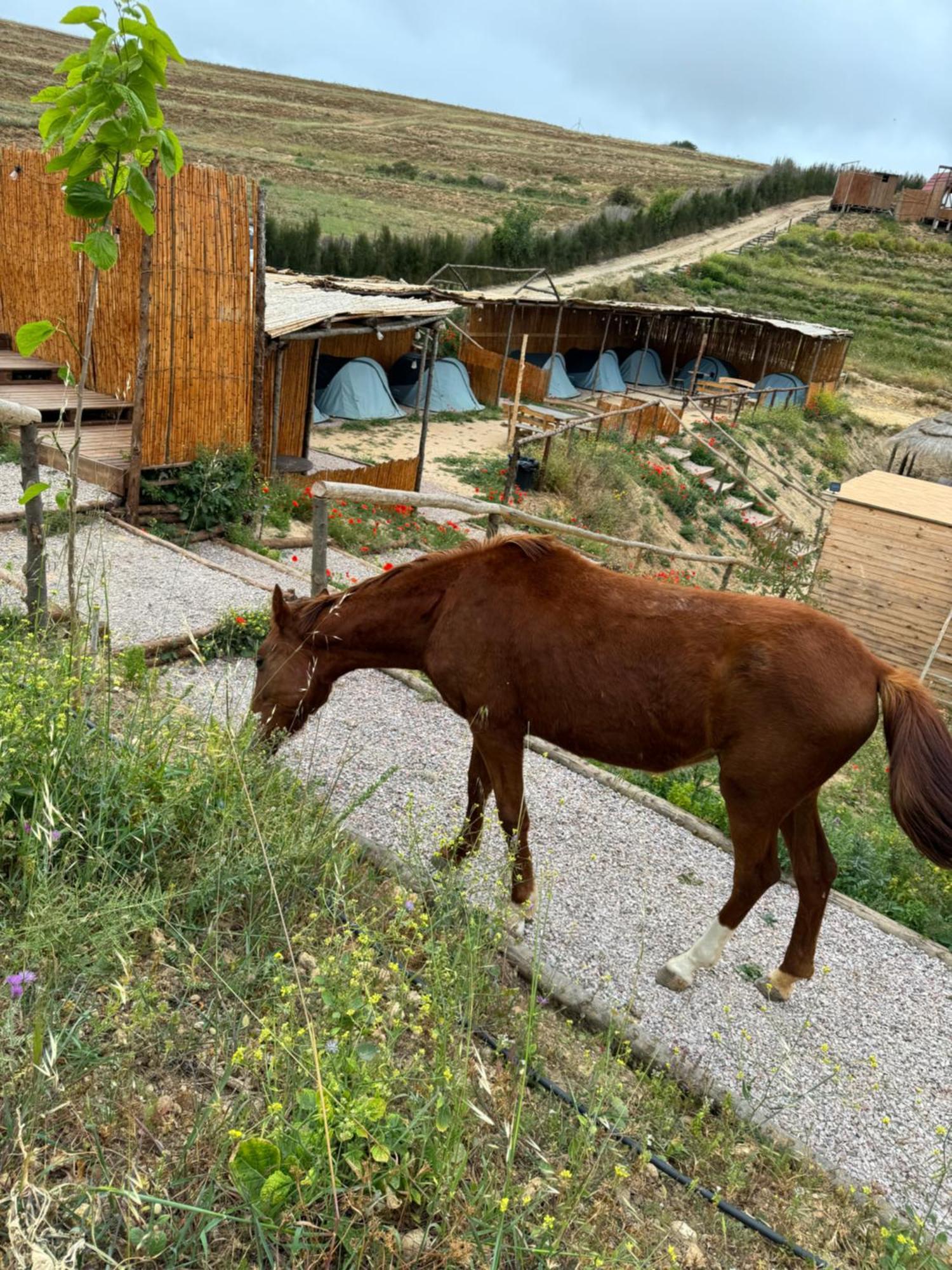 Ghar El Melh Outdoors Hotell Ra's al Jabal Eksteriør bilde